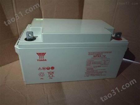 YUASA汤浅电池UXF100-12/12V100安防应急电