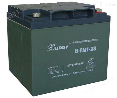 宝迪BUDDY蓄电池6-GFM-12/12V12AH医疗设备