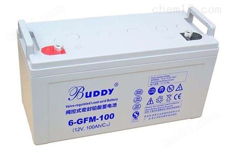 宝迪BUDDY蓄电池6-GFM-200/12V200批发零售