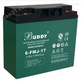 宝迪BUDDY蓄电池6-GFM-180/12V180数据中心