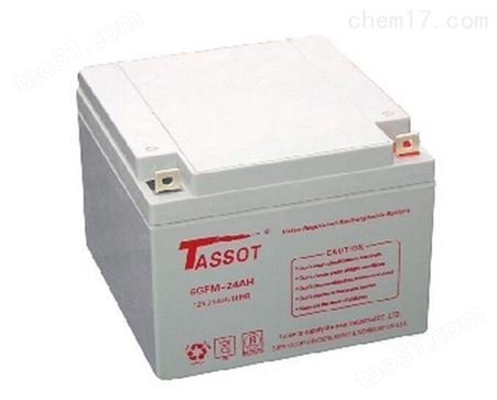 TASSOT泰斯特蓄电池12V100AH免维护电池