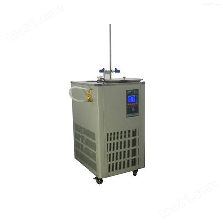 DFY-20/60低温恒温反应浴（槽）