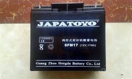 东洋TOYO蓄电池6GFM38后备电源