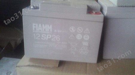 非凡FIAMM蓄电池6SP300/6V300AH通讯基站