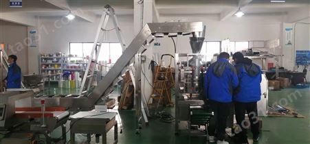 ZH-BZJ国产给袋式颗粒包装机厂家定制