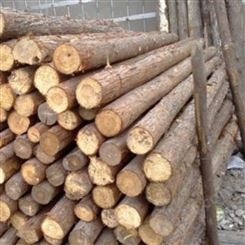 三米杉木桩护岸 北京杉木桩销售 胜洁木业