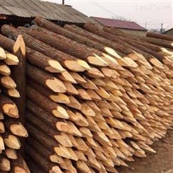 防腐杉木桩 绿化杉木桩施工 胜洁木业