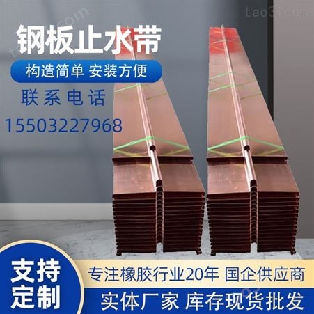 丛泰橡胶 专业生产橡胶止水带 中孔型钢边止水带 品种齐全