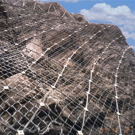 丛泰供应 边坡防护网批发 边坡防护网价格 边坡防护网施工 边坡防护网工程