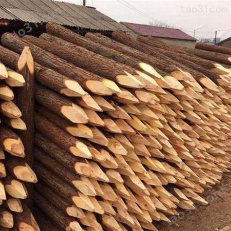绿化杉木桩出售 胜洁木业 防汛杉木桩销售