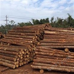 2米杉木桩施工 胜洁木业 防腐杉木桩出售