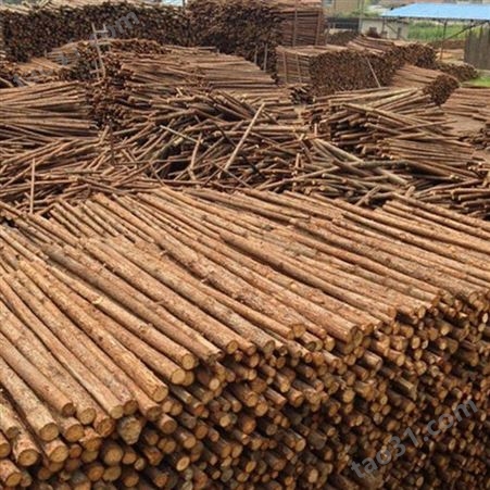 绿化杉木桩出售 胜洁木业 防汛杉木桩销售