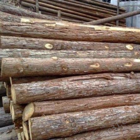 绿化杉木桩 胜洁木业 南京杉木桩出售