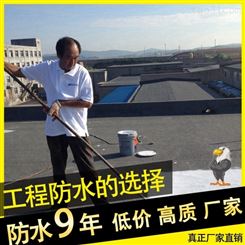 长葛彩钢瓦防水涂料 的栾川县防水涂料 开化防水涂料商家