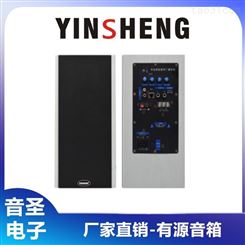 YINSHENG CY250有源音箱 有源音箱 工厂价格