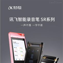Iflytek 智能录音机 价格 科大讯飞SR501 新款录音笔 厂家批发