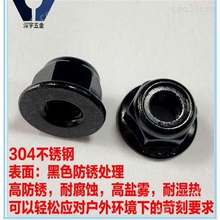 上海黑色不锈钢螺母品质保障 耐湿热黑锌螺丝  品种全