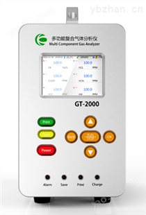 GT-2000（NH3）氨气气体分析仪