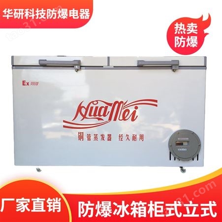 华研 防爆冰箱柜式立式冷冻机冰柜双温超低温规格容积可定制