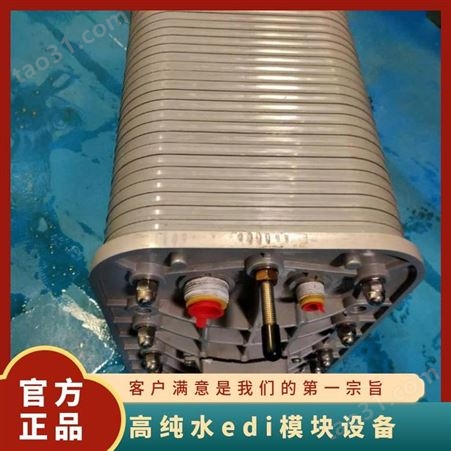 高纯水edi模块设备 电压220V 系列LXM 功率500kW 水质≥15MΩ.cm