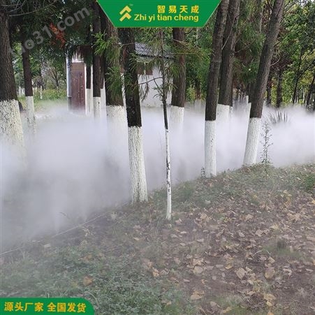 小区雾森喷雾系统设备 房地产售楼处雾化喷淋系统 智易天成