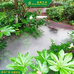 高压雾森景观系统休闲山庄 自动化雾化喷淋系统 智易天成