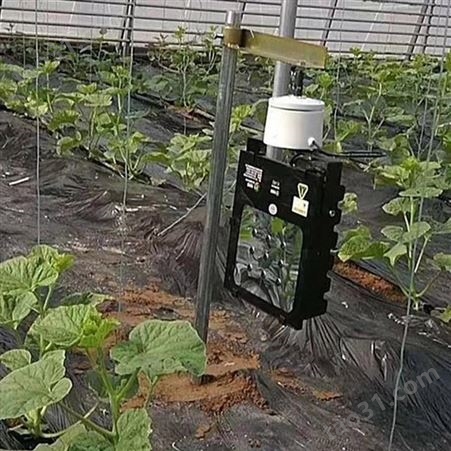 厂家直供红皎阳大棚植物补光灯 草莓专用补光灯M101 一亩地一个灯 帮助花芽分化 提起上市
