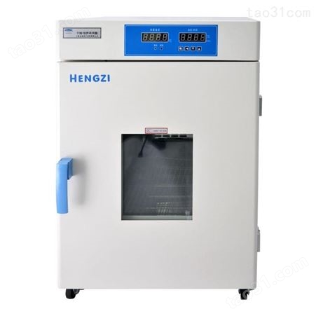 新诺仪器 HGZF-II/H-101-0 电热恒温鼓风干燥箱 试验热处理箱