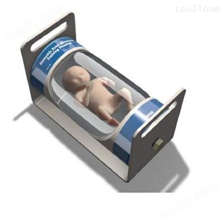 胎儿超声生物特征模型 型号068