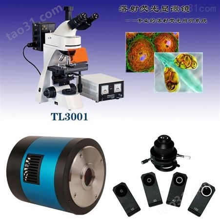 显微镜TL3001落射荧光显微镜