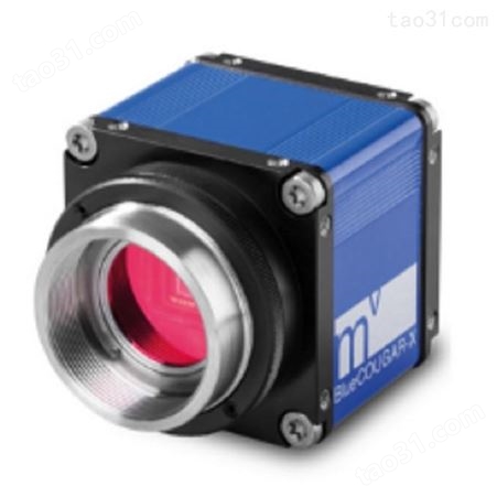 OPTO RT-mvBC-X109b 工业相机