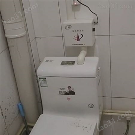 马桶洁厕剂  卫生间去污清洁球  生产厂家 家禾卫浴