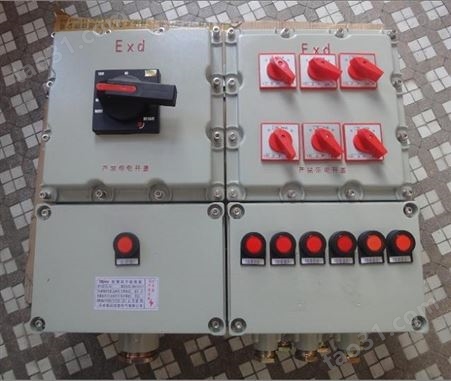 BXM6951-DIP非标防爆配电箱